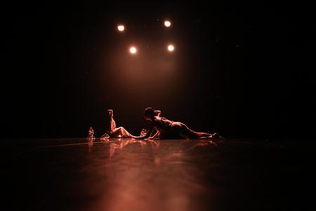 [공연] 제6회 댄스브릿지 서울 페스티벌 이미지